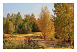 colors of autumn / ***