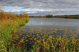 Autumn Pond / ***