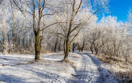 Road in winter / ***