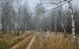 Autumn road / ...