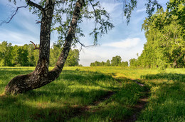 in the park / ***