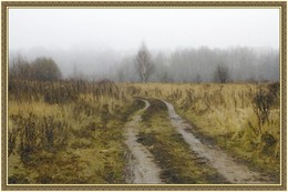 road in the forest / ***