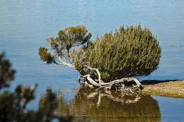 At the watering / ***