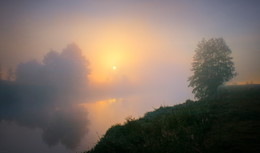 Morning / ***