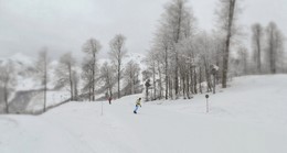 On the fresh snow / ***