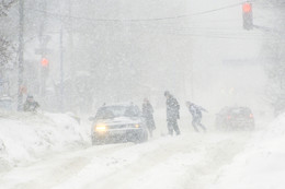 Snowstorm / ***