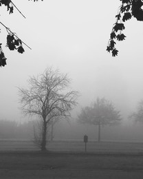&nbsp; / Nebbia
