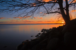 On the bay / ***