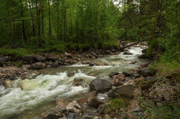 Taiga river / ***