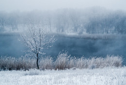 Winter / http://www.youtube.com/watch?time_continue=77&v=Nqhn0AnDROo