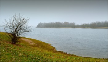 Autumn coast / ***