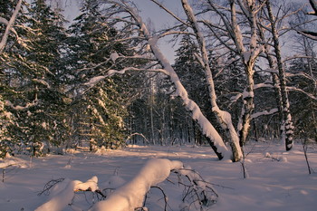 Winter evening. / ***