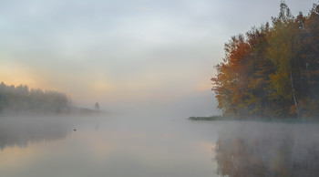 Morning a new day. / ***