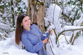 in the winter forest / ***