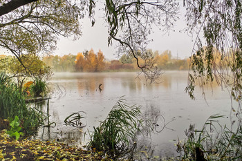 Autumn Romance ... / ***