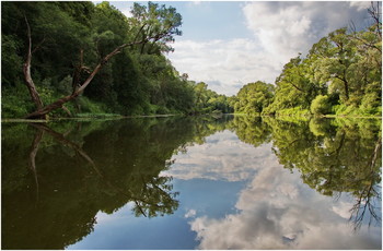 river landscape / ***