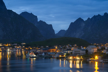 Reine / ***