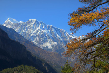 Himalayas / ***