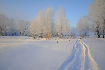 Road in winter. / ***