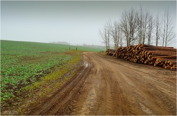 Autumn road / ***