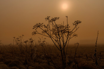 &nbsp; / field image when it's autumn