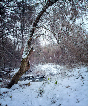 Winter landscape / ***