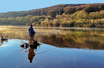 Contemplation. / ***