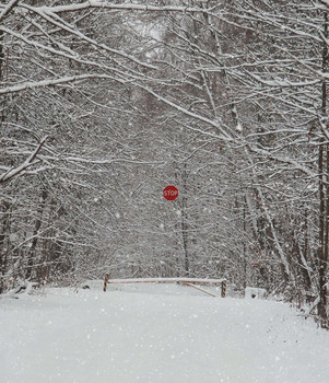 Stop! / .....................