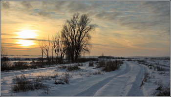 Winter Sunset / ***