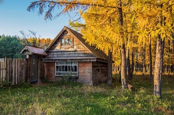 an old house / ***