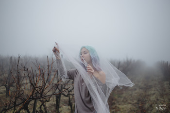 Through the mist / ***