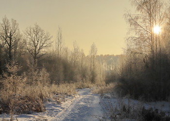 Autumn Sunrise / ***