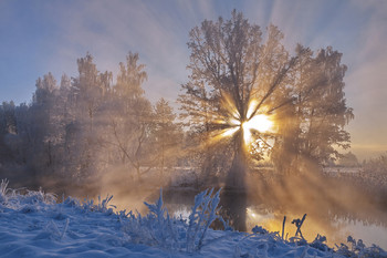 Winter sketches / ***