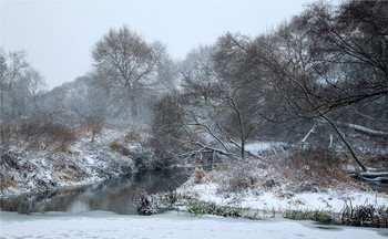 winter walk / ***