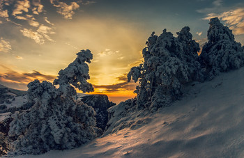 Winter sketches / ***