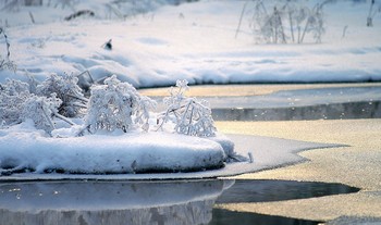 Winter sketches / ***