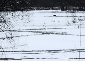 Winter sketches / ***