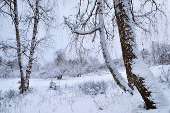 Winter sketches / ***