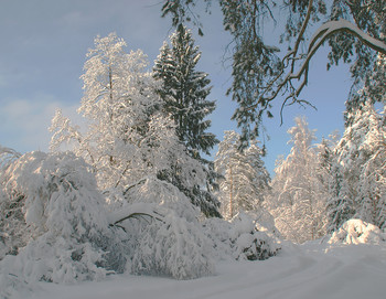 Winter sketches / ***