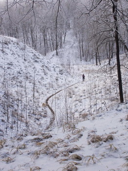 Winter sketch. / ***