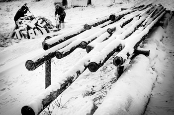 Winter sketches / ***