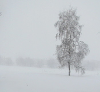 Lonely / ***