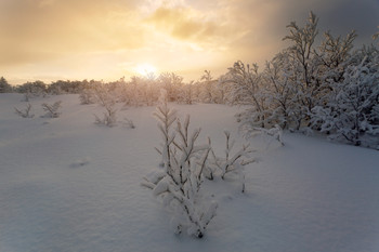 After snowfall / ***