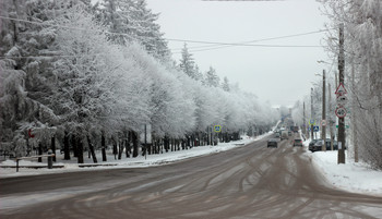 Winter City / ***