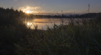 on the morning dew / ***