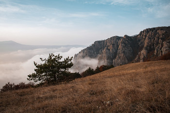 There, behind the fog ... / ***