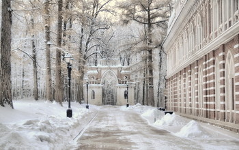 Winter in Tsaritsyno / ***