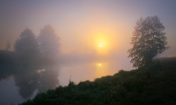 Cold morning / ***