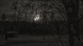 Black and white winter. / ***