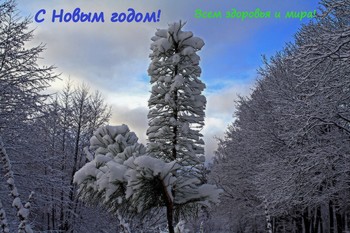 Holiday greetings! / ***